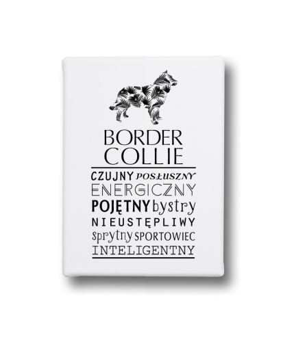 Obraz na płótnie Canvas - Border Collie