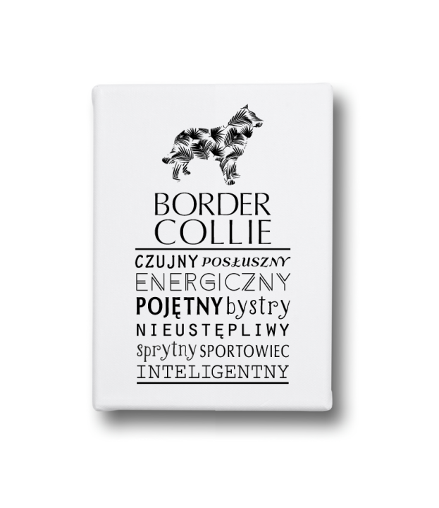 Obraz na płótnie Canvas - Border Collie