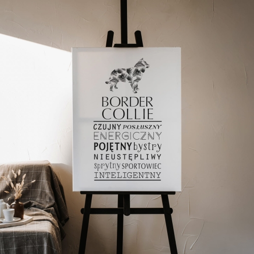 Obraz na płótnie Canvas - Border Collie