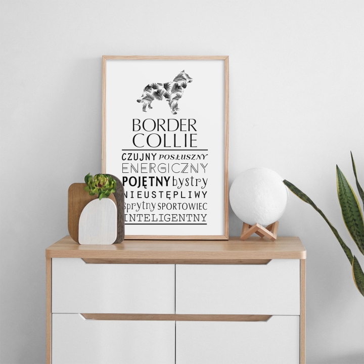 Plakat typograficzny - Border Collie