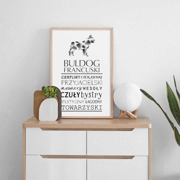 Plakat typograficzny - Buldog Francuski