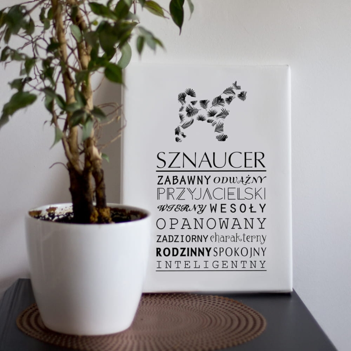 Obraz na płótnie - Sznaucer