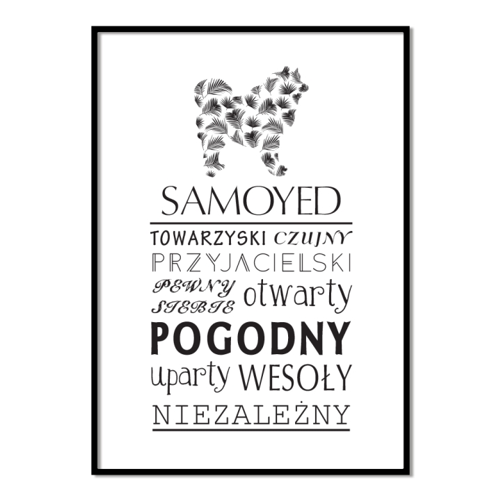 Plakat typograficzny - Samoyed