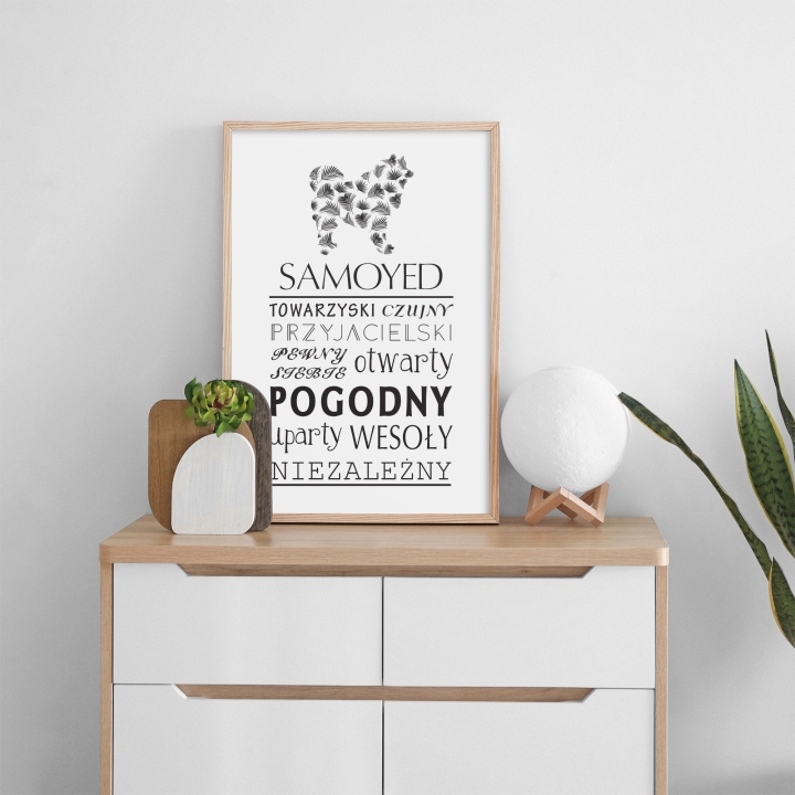 Plakat typograficzny - Samoyed