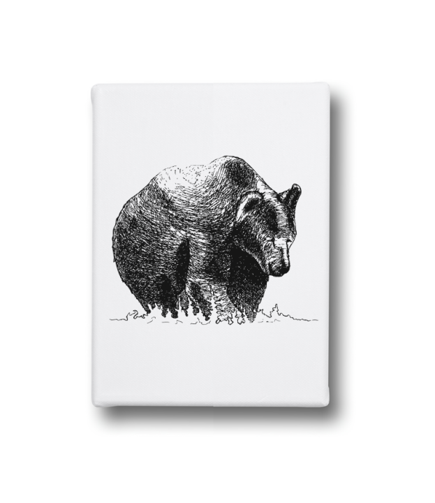 Obraz na płótnie Canvas - Niedźwiedź