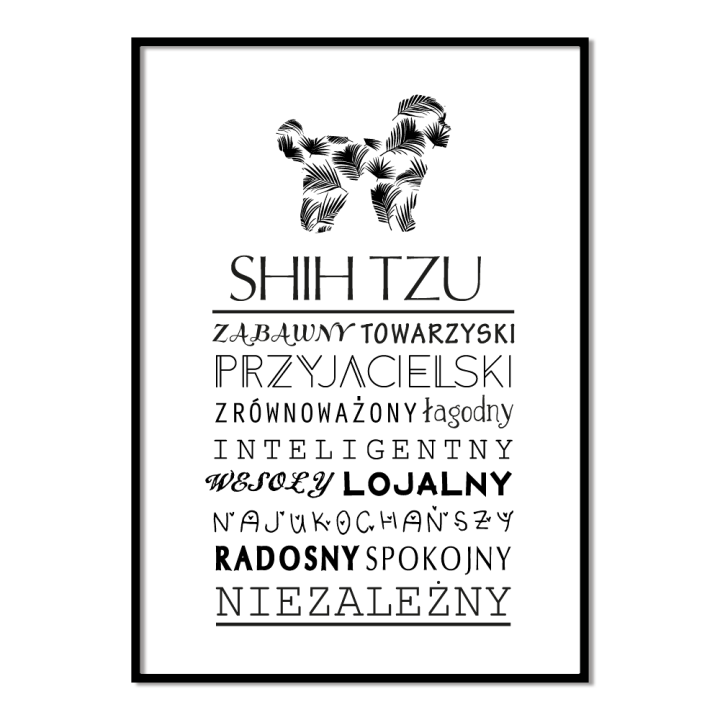 Plakat typograficzny - Shih Tzu