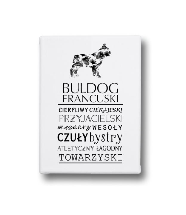 Obraz na płótnie z psem - Buldog Francuski