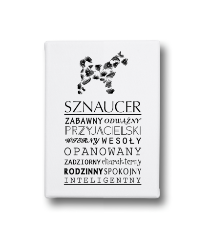 Obraz na płótnie - Sznaucer
