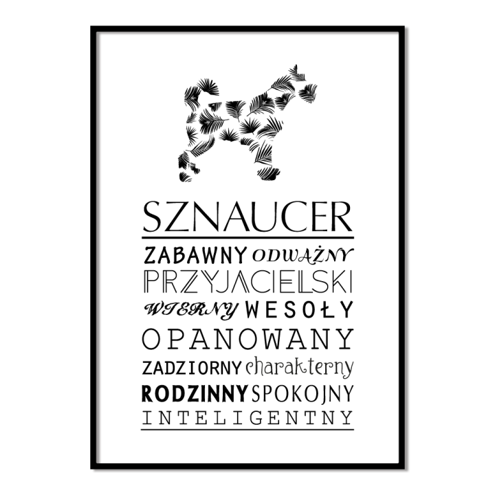 Plakat typograficzny - Sznaucer